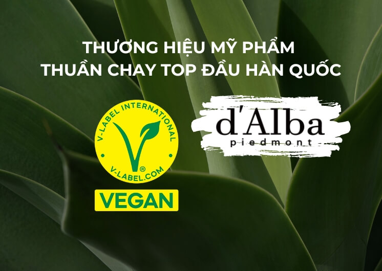 dalba Hàn Quốc